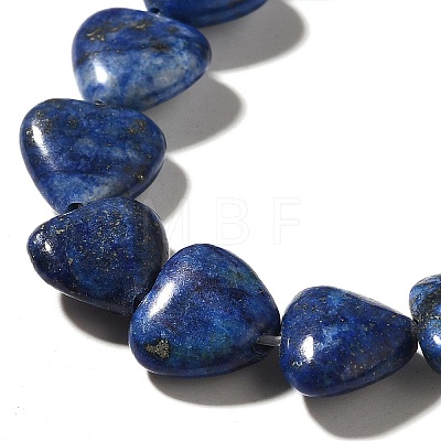 Natural Lapis Lazuli Beads Strands G-R190-10mm-54A-1