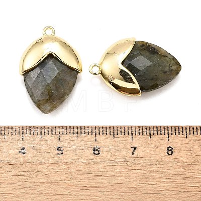 Natural Labradorite Pendants G-U019-03B-07-1