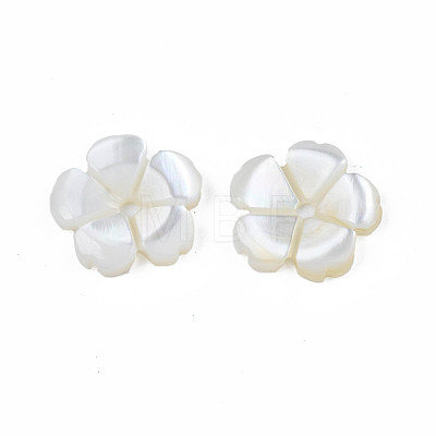Natural Freshwater Shell Beads SHEL-N026-185-1