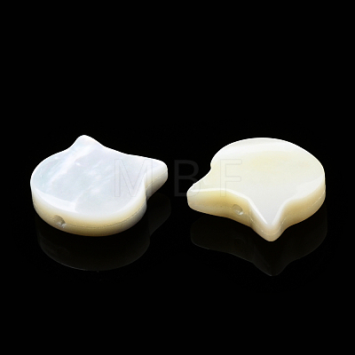 Natural White Shell Beads SSHEL-N034-124B-1