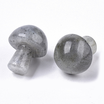 Natural Labradorite GuaSha Stone X-G-N0325-02P-1