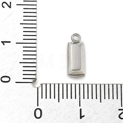 304 Stainless Steel Charm STAS-L022-242P-04-1