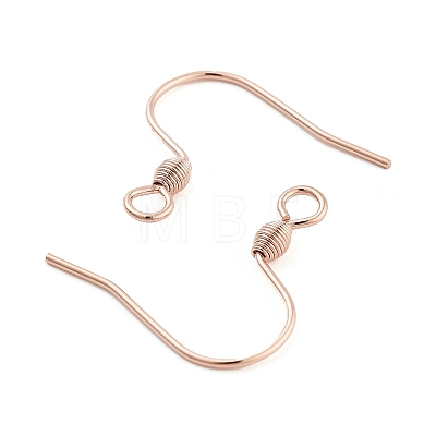 304 Stainless Steel Earring Hooks STAS-E484-55RG-1