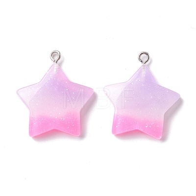 Opaque Resin Pendants CRES-I027-01P-1