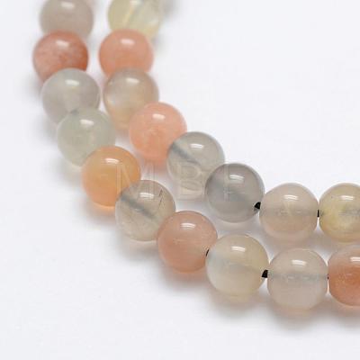 Natural Multi-Moonstone Beads Strands G-P322-43-6mm-1