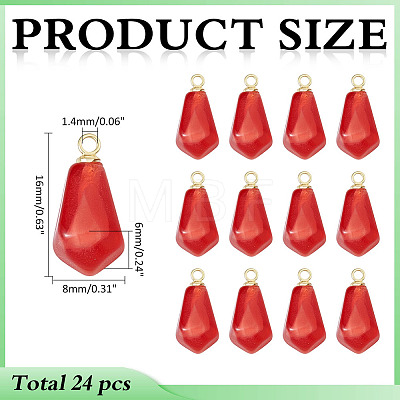24Pcs Transparent Resin Pendants RESI-ME0001-20B-1