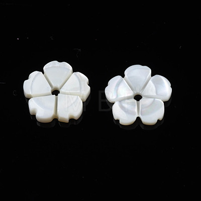 Natural Freshwater Shell Beads SHEL-N026-185-1