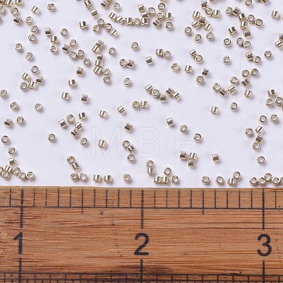 MIYUKI Delica Beads SEED-X0054-DB0433-1