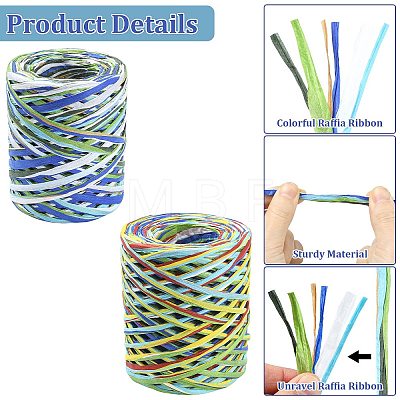 2 Rolls 2 Styles Raffia Ribbon OCOR-CJ0004-09-1