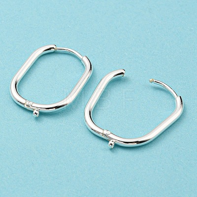 316 Surgical Stainless Steel Hoop Earrings Findings STAS-N097-055S-1