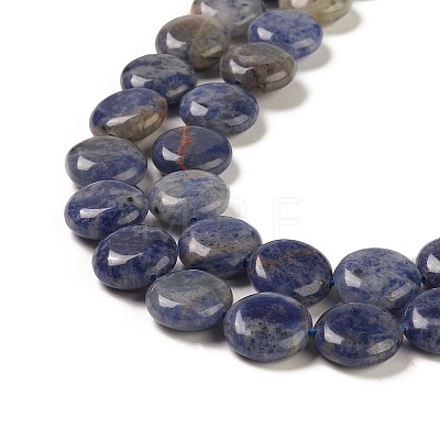 Natural Sodalite Beads Strands G-M403-C11-1