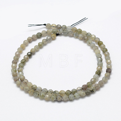 Natural Labradorite Beads Strands G-P322-28-4mm-1