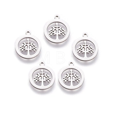 Non-Tarnish 304 Stainless Steel Charms STAS-I098-03-1
