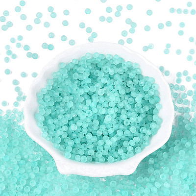 FGB Frosted Transparent Glass Seed Beads SEED-N013-04A-10-1