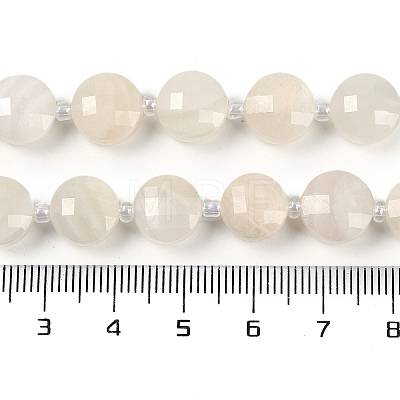 Natural White Moonstone Beads Strands G-B094-A17-01-1