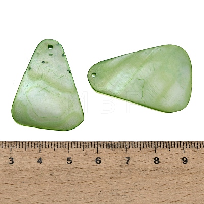 Dyed Natural Shell Pendants SHEL-C010-13C-1