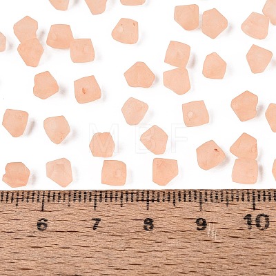 FGB Frosted Transparent Glass Seed Beads SEED-N013-03A-04-1