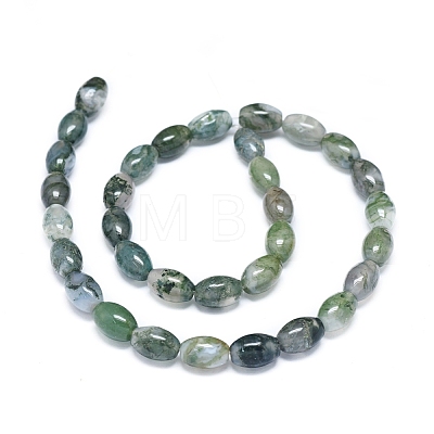 Natural Moss Agate Beads Strands G-D0005-10-1