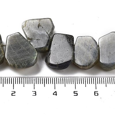 Natural Labradorite Beads Strands G-P528-K10-01-1