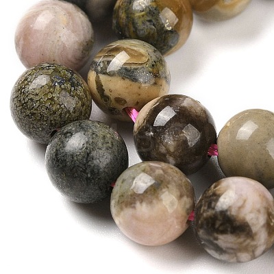 Natural Rhodonite Beads Strands G-P524-A01-02-1