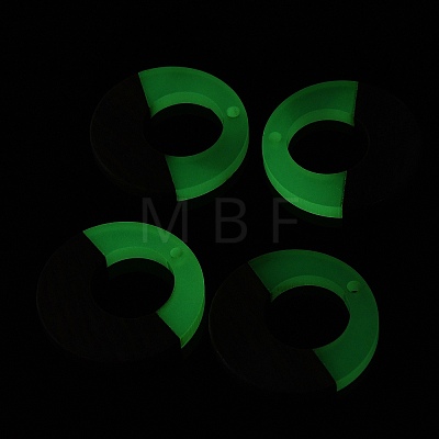 Luminous Glow in the Dark Wood & Resin Pendant WOOD-H104-16-1