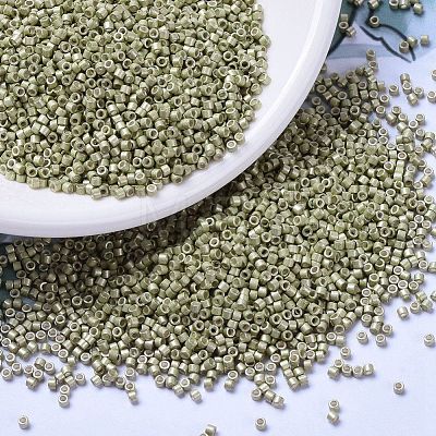 MIYUKI Delica Beads SEED-X0054-DB1181-1