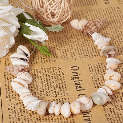 Trumpet Shell Beads BSHE-YW0001-03-1