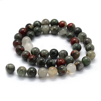 Natural African Bloodstone Beads Strands X-G-G763-08-6mm-1