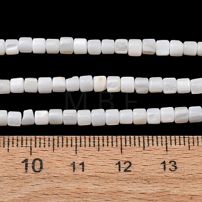 Natural Freshwater Shell Beads Strands SH-CBA2978-21C-1