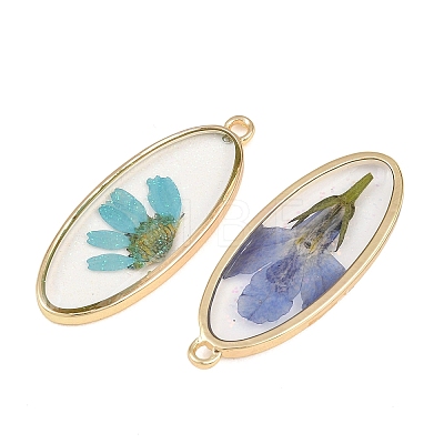 Alloy Epoxy Resin Pendants FIND-Z114-01G-03-1