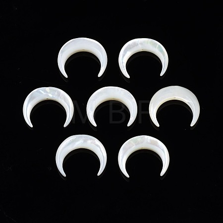 Natural White Shell Mother of Pearl Shell Beads SSHEL-T012-07-1