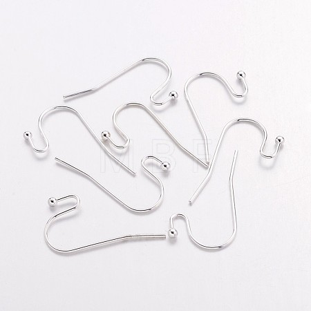 Brass Earring Hooks LS-J0JQN-S-1