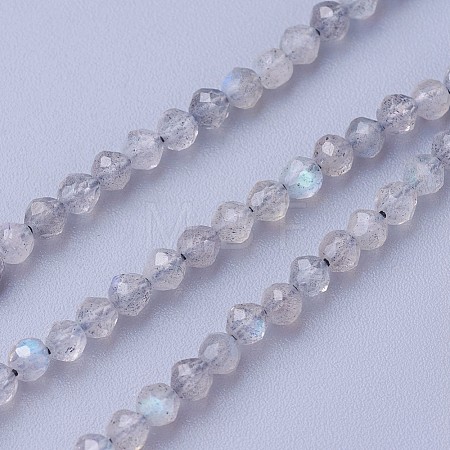 Natural Labradorite Beads Strands G-F619-15-2mm-1