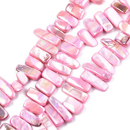 Natural Freshwater Shell Beads Strands SHEL-N026-123B-1