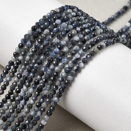 Natural Sapphire Beads Strands G-K366-C04-2mm-1