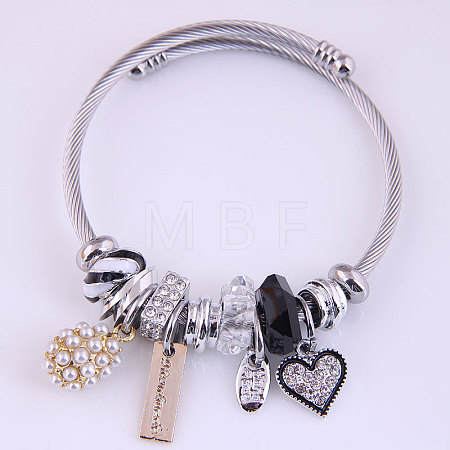 Adjustable Stainless Steel European Bangles FS-WG81C2D-02-1