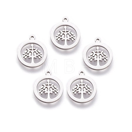 Non-Tarnish 304 Stainless Steel Charms STAS-I098-03-1