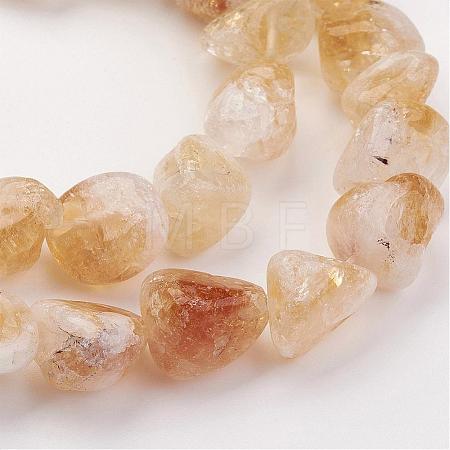 Natural Gemstone Nugget Citrine Bead Strands G-F156-01-1