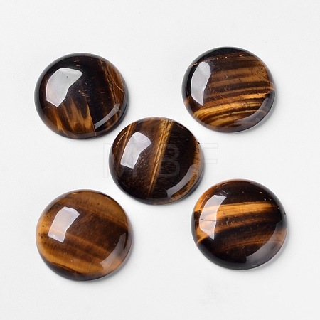 Natural Tiger Eye Cabochons X-G-F298-02-1