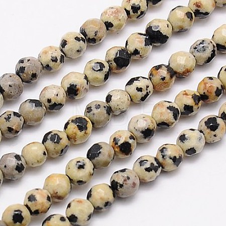 Natural Dalmation Jasper Beads Strands X-G-G545-11-1