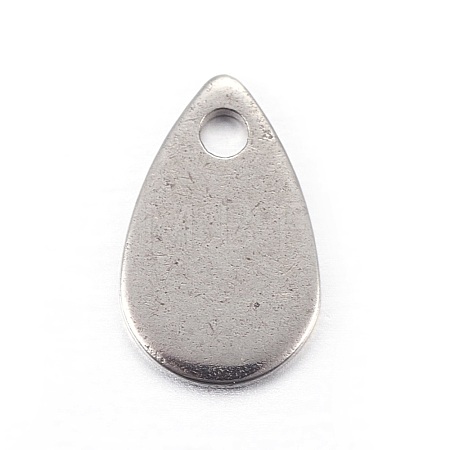 Tarnish Resistant Stainless Steel Charms STAS-L211-02A-P-1