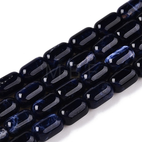 Natural Sodalite Beads Strands G-G980-37A-1