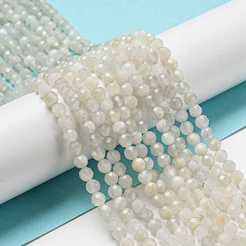 Natural Moonstone Beads Strands G-F736-01-AB-1