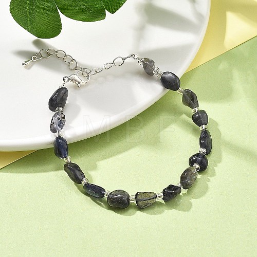 Natural Iolite Beads Bracelets for Women BJEW-H623-02S-18-1