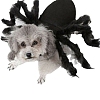 Halloween Felt Fabric Pet Costume Spider Cloth PW-WG7181D-01-1