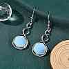 Hexagon Opalite Dangle Earrings EJEW-K298-01P-06-1