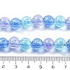 Handmade Foil Lampwork Beads Strands FOIL-K003-06B-23-4