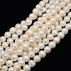 Natural Cultured Freshwater Pearl Beads Strands PEAR-L001-B-07-01-X-1