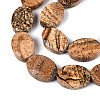 Natural Picture Jasper Beads Strands G-S354-13x18-A06-4