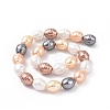 Electroplate Shell Pearl Beads Strands BSHE-O019-02G-2